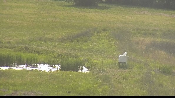 capture-12-22-05-31_17-55-22-25