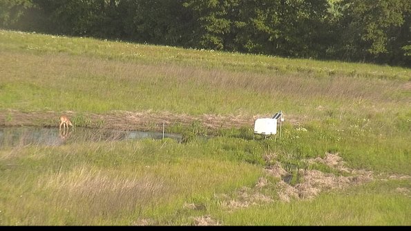 capture-13-22-05-31_08-34-18-34