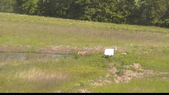 capture-13-22-05-31_09-36-41-33