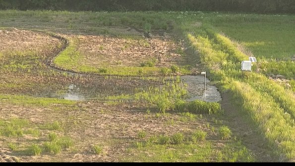 capture-14-22-05-31_07-32-23-34