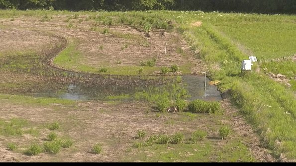 capture-14-22-05-31_09-37-09-89