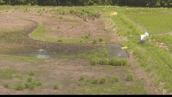 capture-14-22-05-31_11-41-57-31