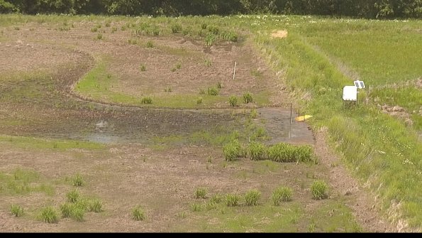 capture-14-22-05-31_13-46-44-33