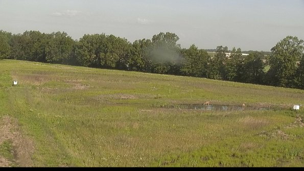 capture-4-22-05-31_08-34-04-43