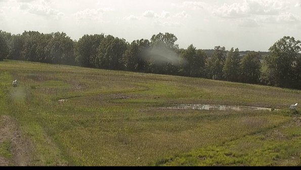 capture-4-22-05-31_16-53-11-41