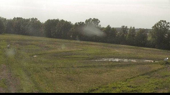 capture-4-22-05-31_17-55-35-33