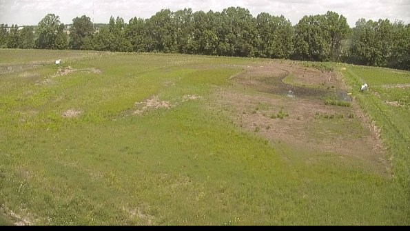 capture-6-22-05-31_11-41-43-36