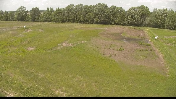 capture-6-22-05-31_13-46-29-68