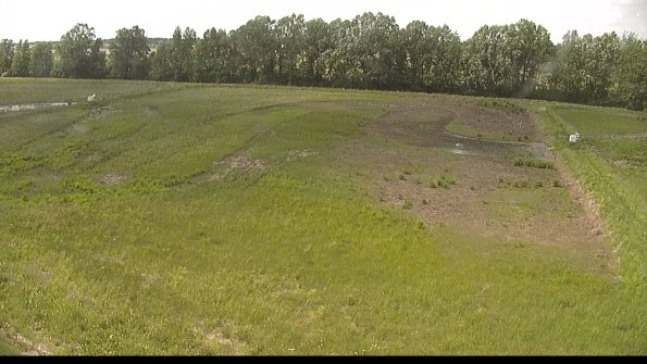 capture-6-22-05-31_15-51-16-48