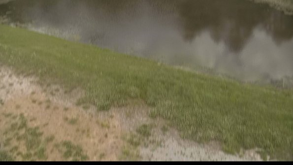 capture-8-22-05-31_15-50-03-31