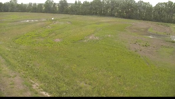 capture-1-22-06-01_12-40-03-30