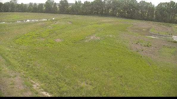 capture-1-22-06-01_17-52-00-20