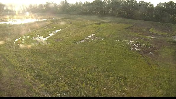 capture-1-22-06-01_19-56-47-42