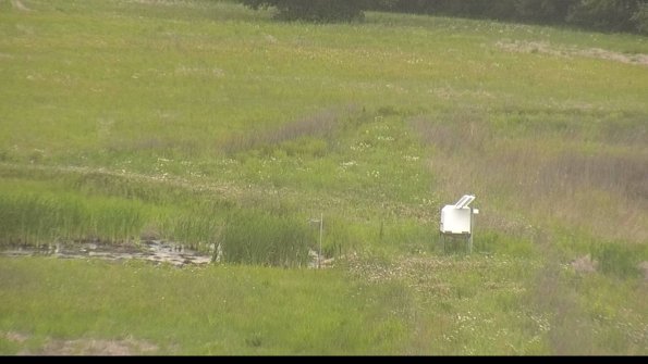 capture-12-22-06-01_12-38-24-40