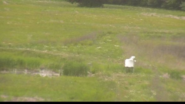 capture-12-22-06-01_14-43-12-22