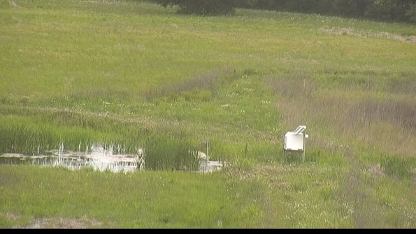 capture-12-22-06-01_17-50-21-33