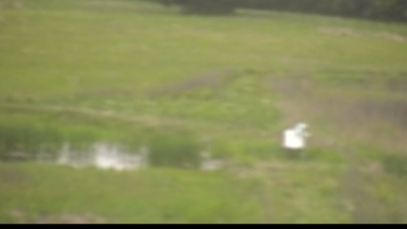 capture-12-22-06-01_18-52-44-46