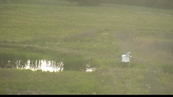 capture-12-22-06-01_19-55-08-52