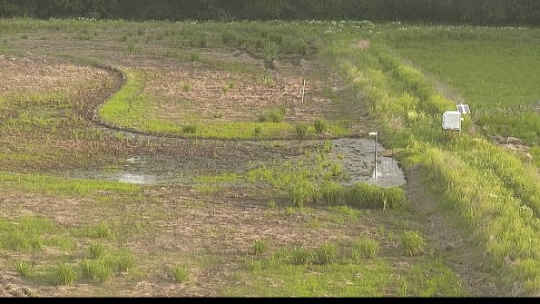 capture-14-22-06-01_07-27-25-46