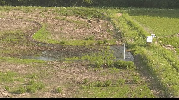 capture-14-22-06-01_08-29-48-42