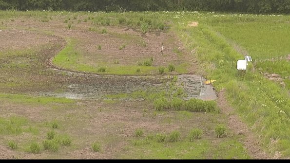 capture-14-22-06-01_11-36-57-33