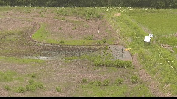 capture-14-22-06-01_14-44-07-31