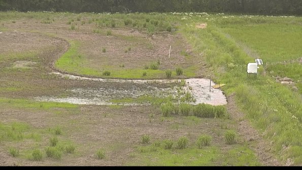 capture-14-22-06-01_17-51-17-29