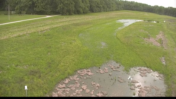 capture-3-22-06-01_17-50-07-22