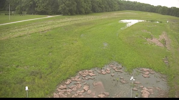 capture-3-22-06-01_18-52-30-24