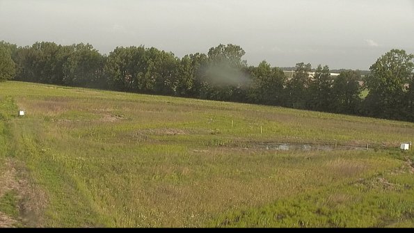 capture-4-22-06-01_07-26-43-19