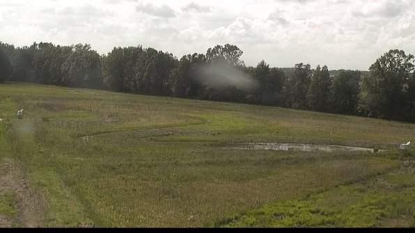 capture-4-22-06-01_16-48-12-38