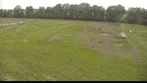 capture-6-22-06-01_17-51-03-41