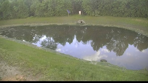 capture-8-22-06-01_19-54-38-65