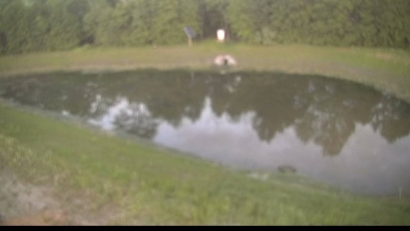 capture-8-22-06-01_20-57-02-75