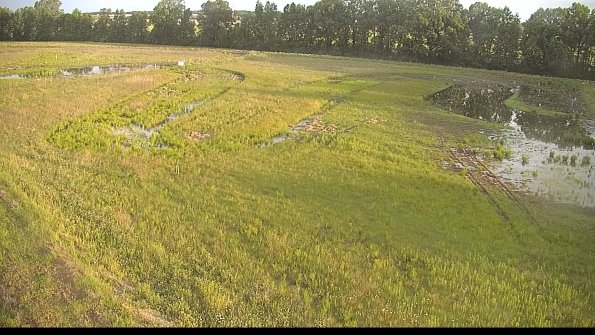 capture-1-22-06-02_07-00-00-01