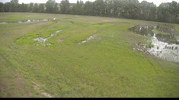 capture-1-22-06-02_07-23-08-20