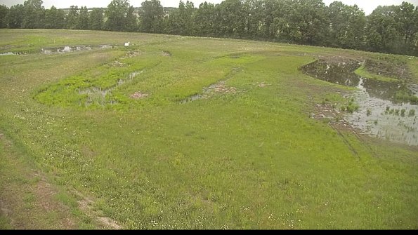 capture-1-22-06-02_08-25-30-33