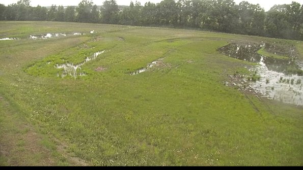 capture-1-22-06-02_10-30-17-35