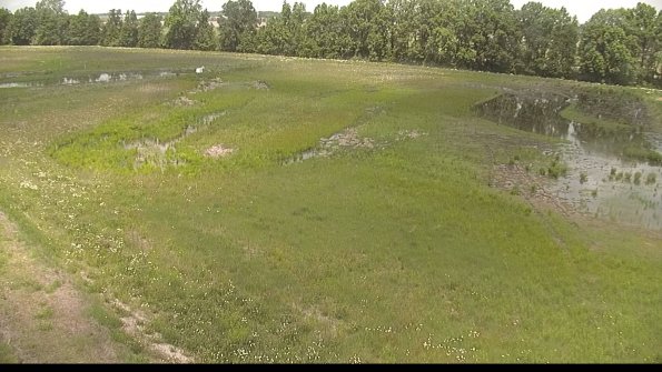 capture-1-22-06-02_12-35-05-47