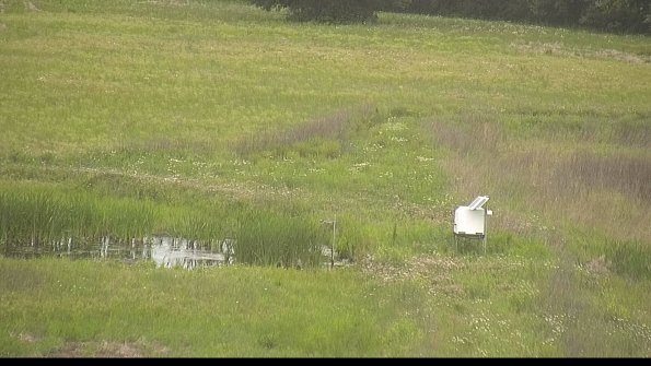 capture-12-22-06-02_08-12-39-99