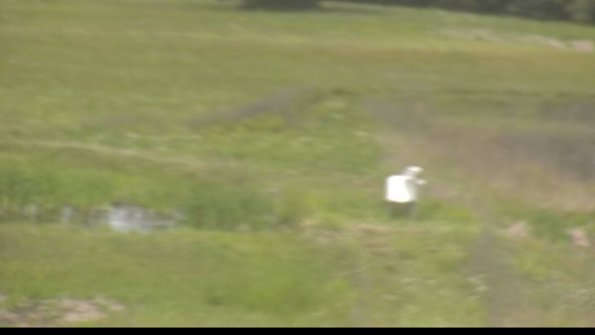 capture-12-22-06-02_11-31-02-37