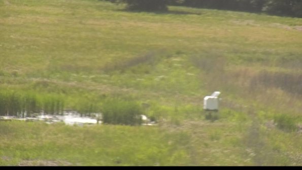 capture-12-22-06-02_16-43-00-31