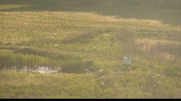 capture-12-22-06-02_19-50-09-29