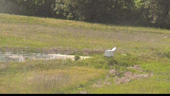 capture-13-22-06-02_16-43-28-34