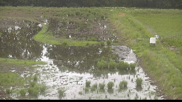 capture-14-22-06-02_07-22-25-33