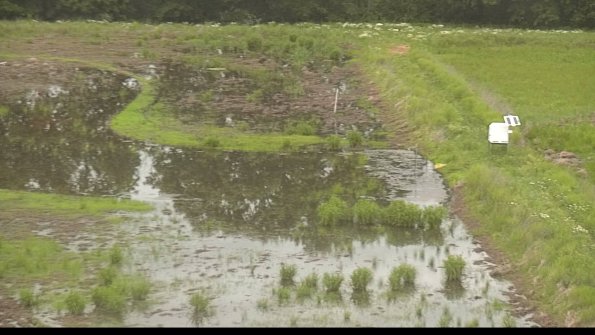 capture-14-22-06-02_08-24-48-39