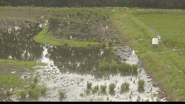 capture-14-22-06-02_10-29-35-40