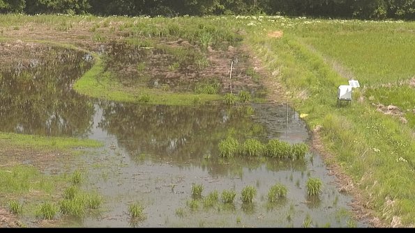 capture-14-22-06-02_11-31-59-67