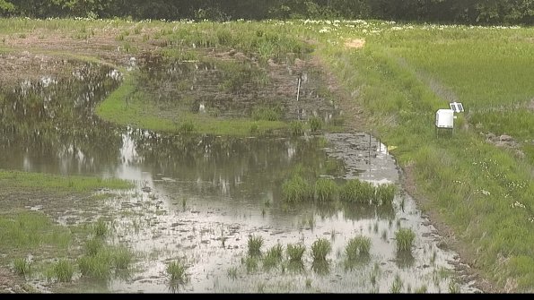 capture-14-22-06-02_12-34-23-39