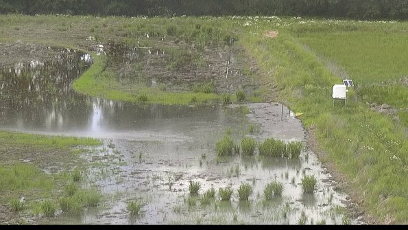 capture-14-22-06-02_15-41-34-08